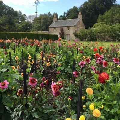 金年会app下载入口截图