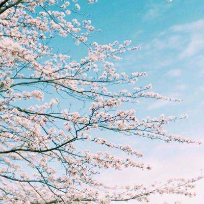 安博.体育手机app下载